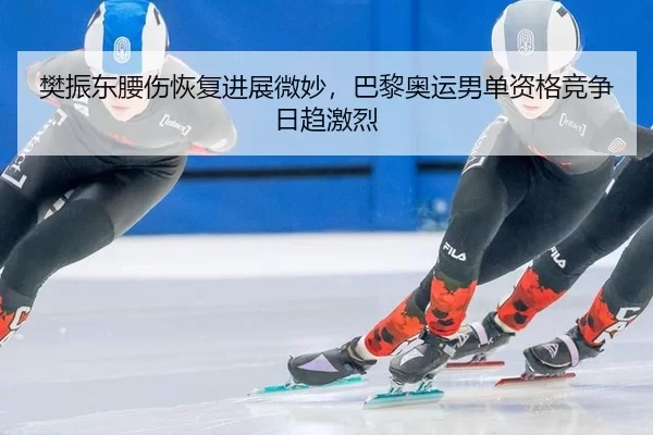 樊振东腰伤恢复进展微妙，巴黎奥运男单资格竞争日趋激烈